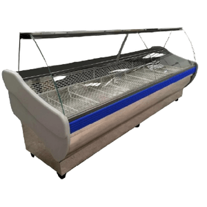 Batea Frider Premium 3,00 M Vidrio Curvo Equipada